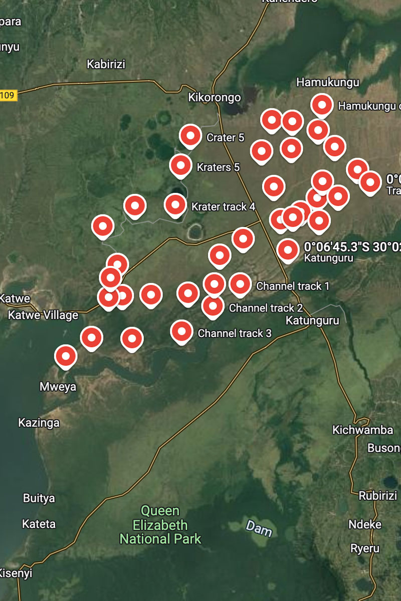 Spend This Christmas with Volcanoes Safaris