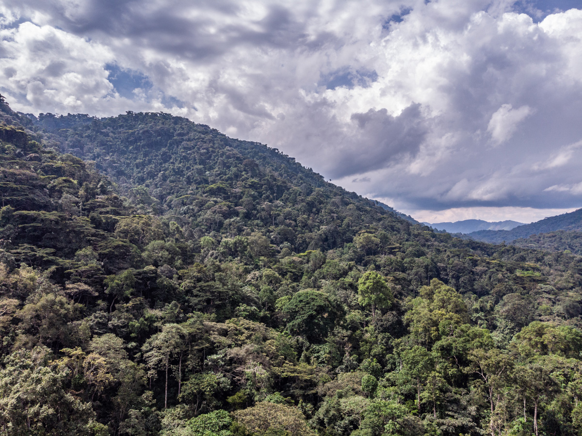 Uganda: Africa's New Frontier (NatGeo)