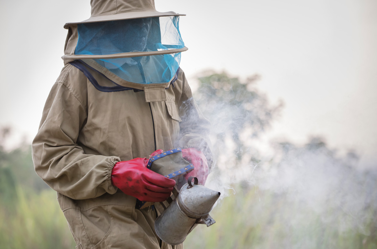 Beekeeping in Kyambura!