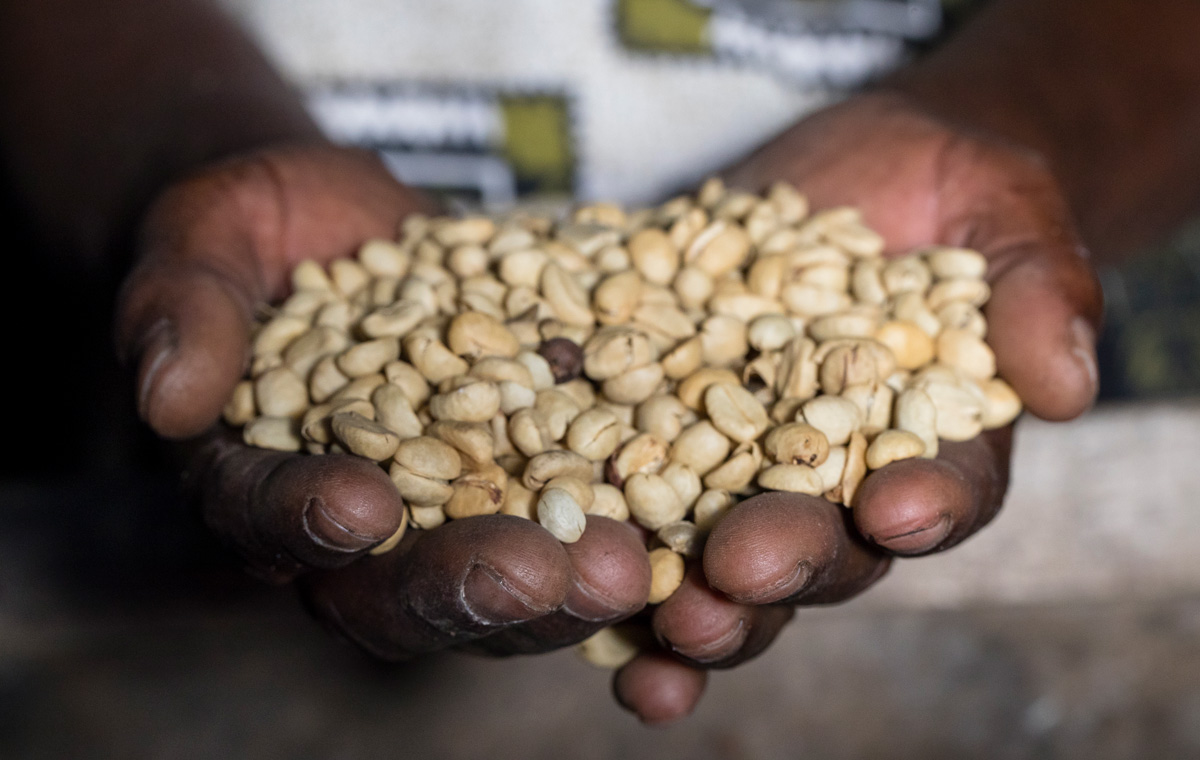 All About Coffee at the Co-operative