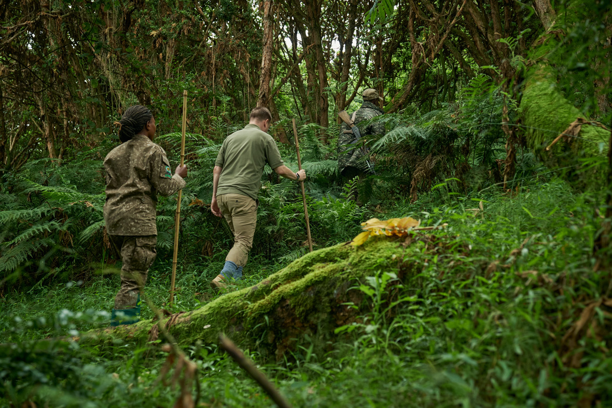 Virunga Lodge is featured in Inzozi RwandAir Magazine  