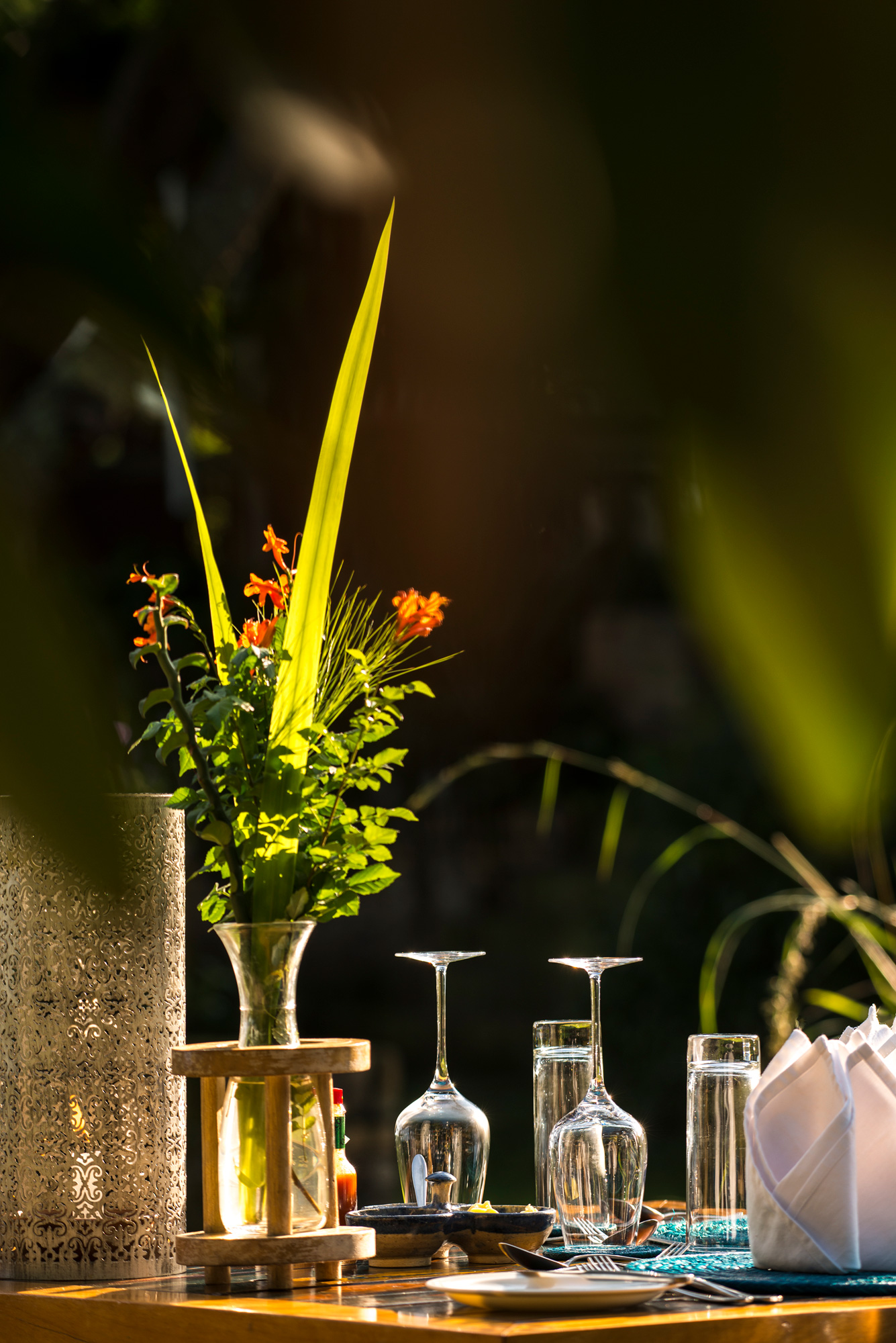 Remembering Dian Fossey