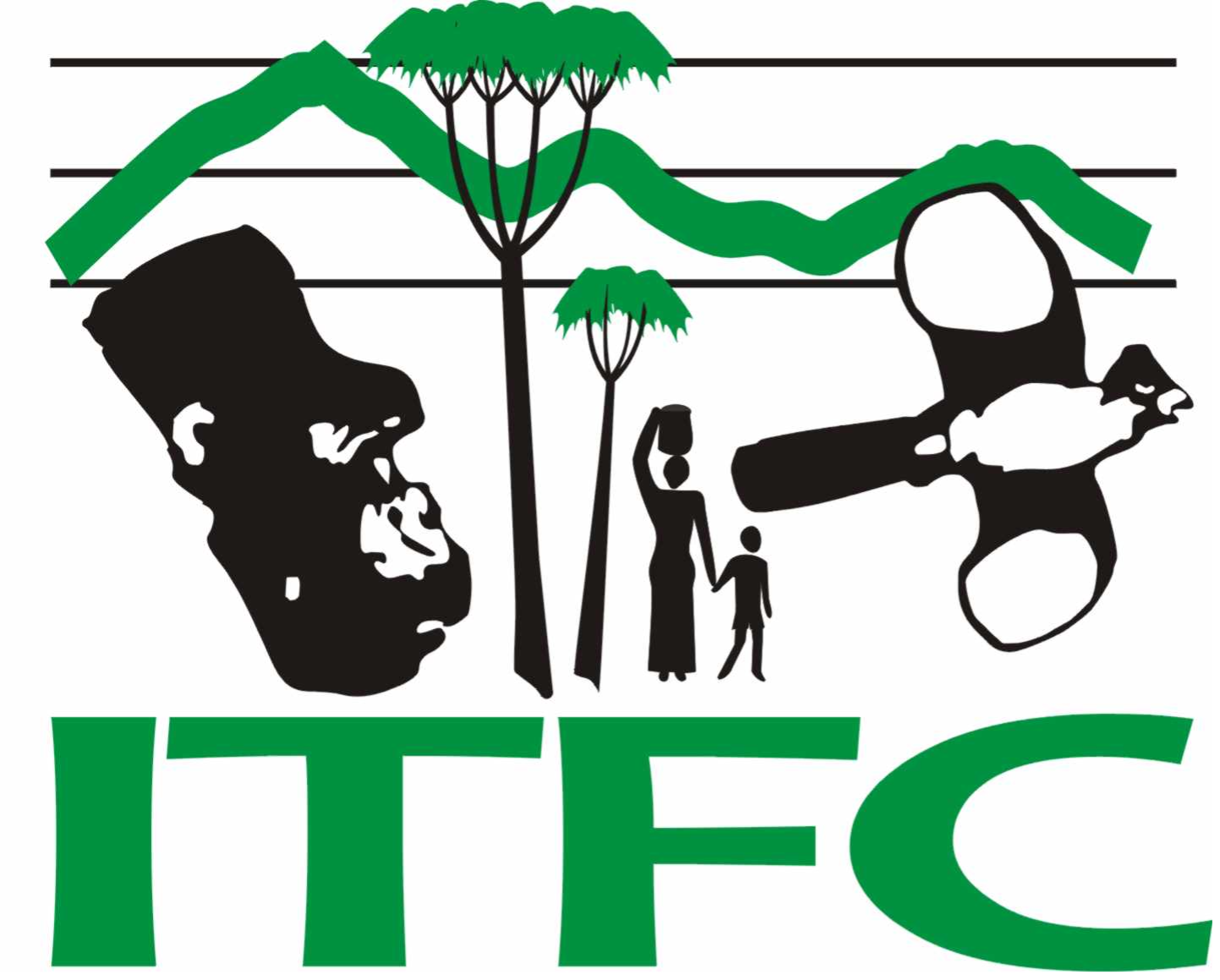 Institute of Tropical Forest Conservation 