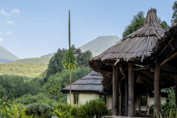 The Batwa Culture and Gorilla Lodge