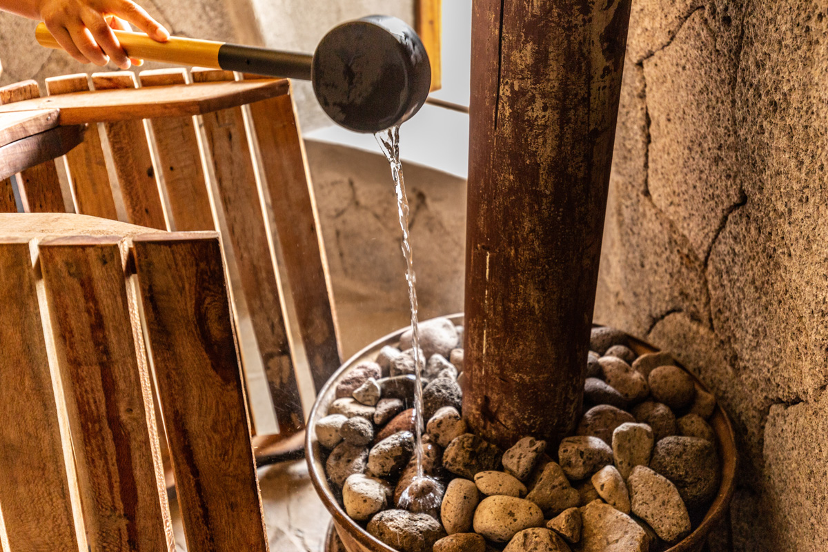 Linking Gorilla Conservation To Improved Healthcare: Dr Gladys Kalema-Zikusoka