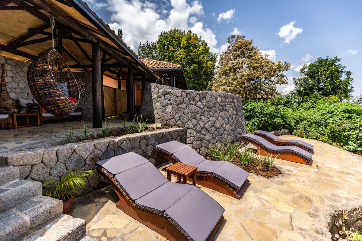 Baby gorillas galore!