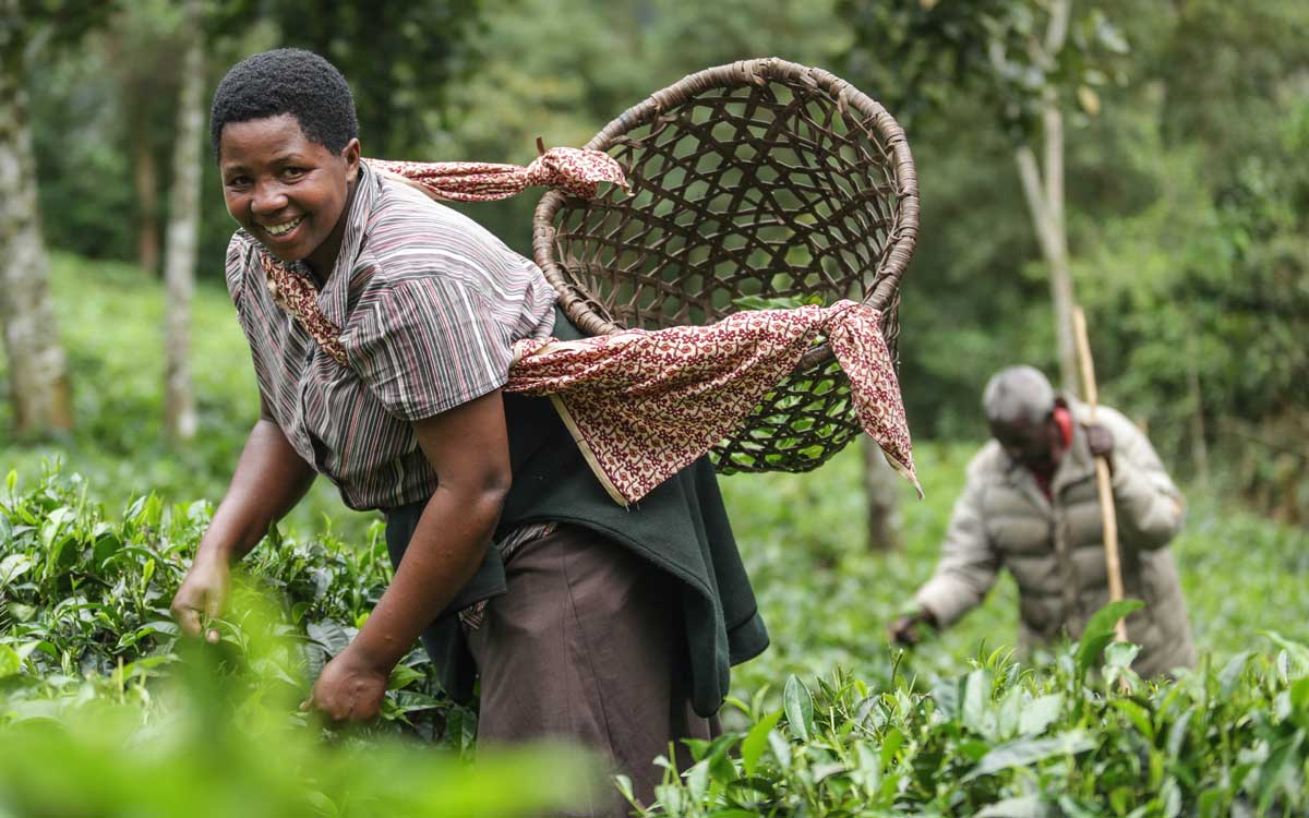 Volcanoes Safaris featured in Travel2Next