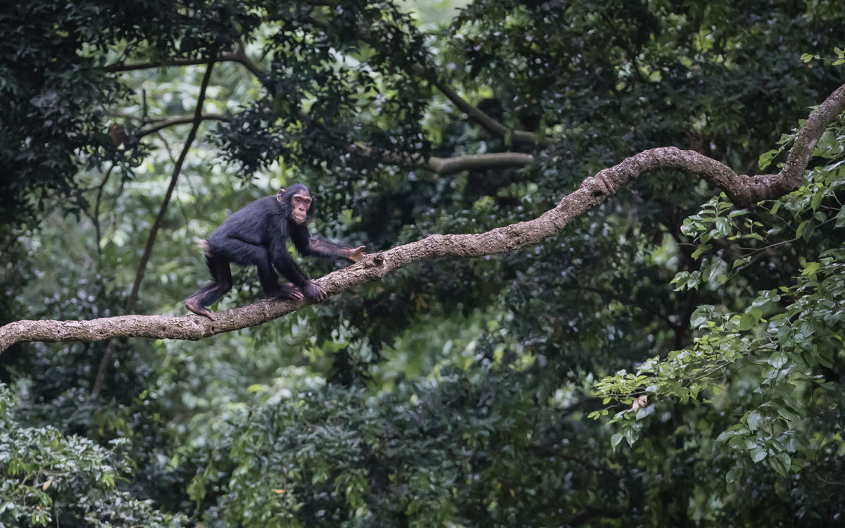 Volcanoes Safaris in AFAR Media