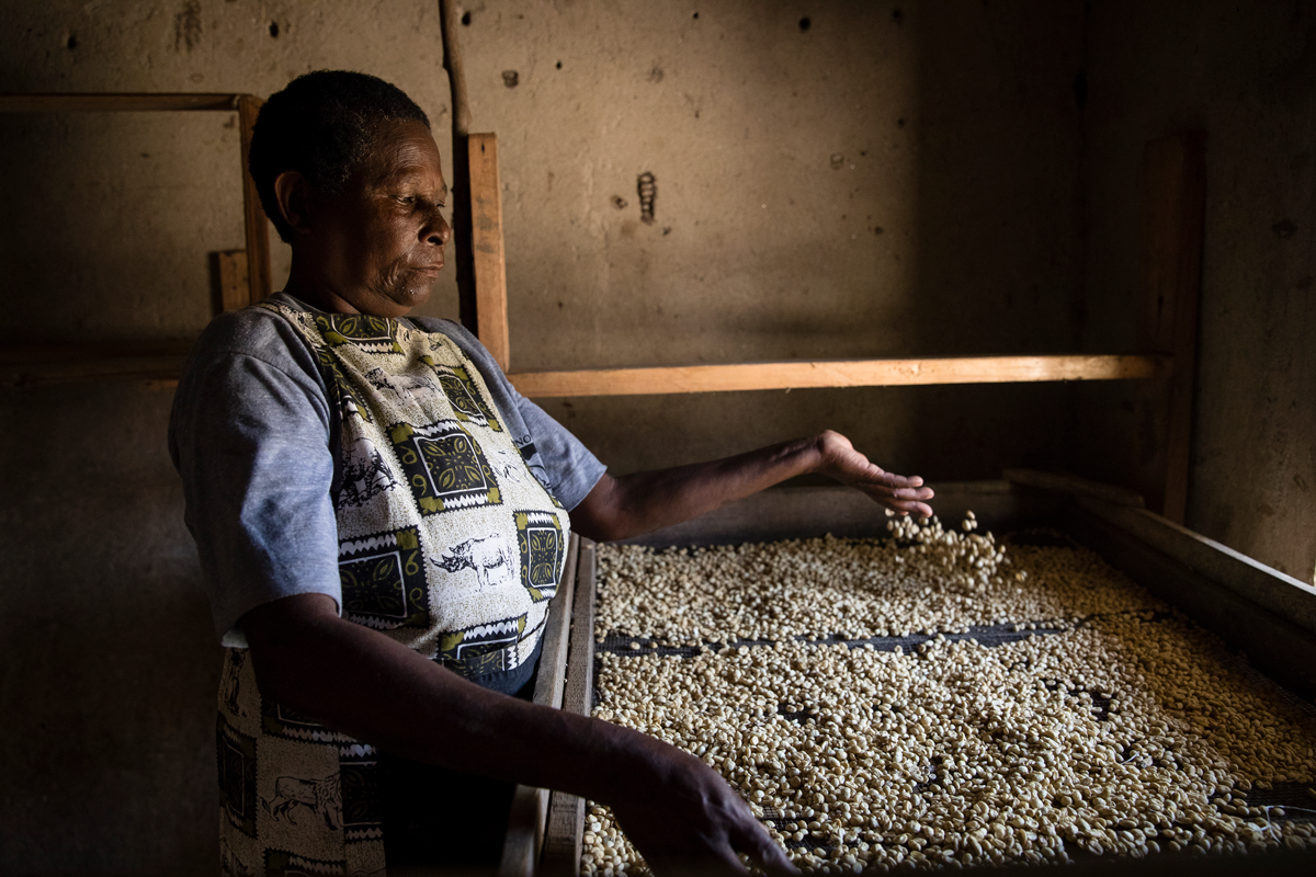Kyambura Women’s Coffee Cooperative featured in Coffee Talks News