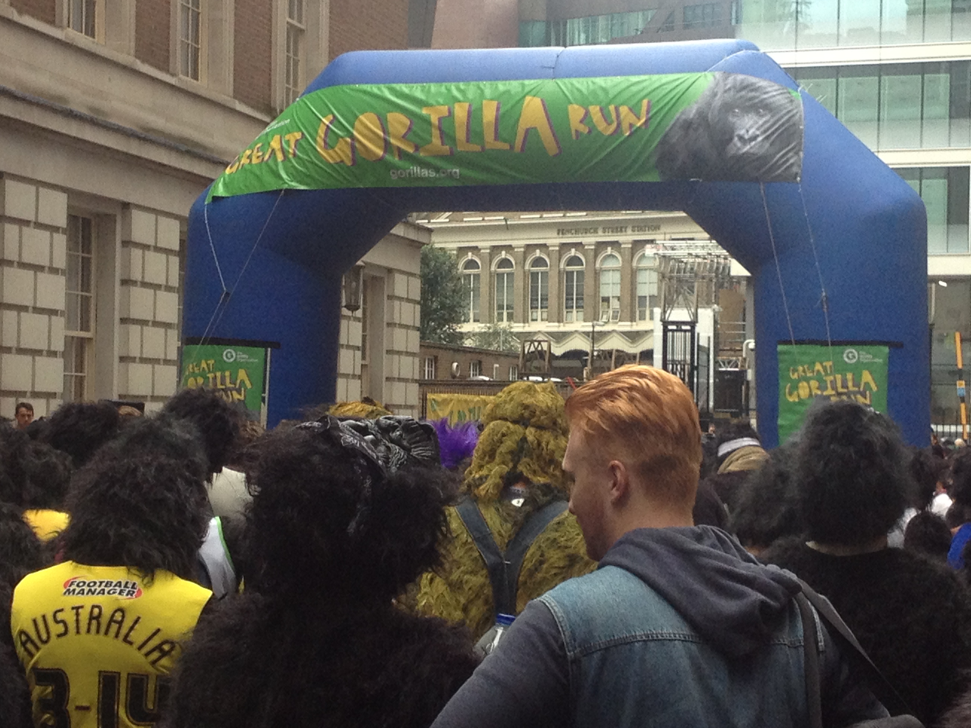 Great Gorilla Run 2014