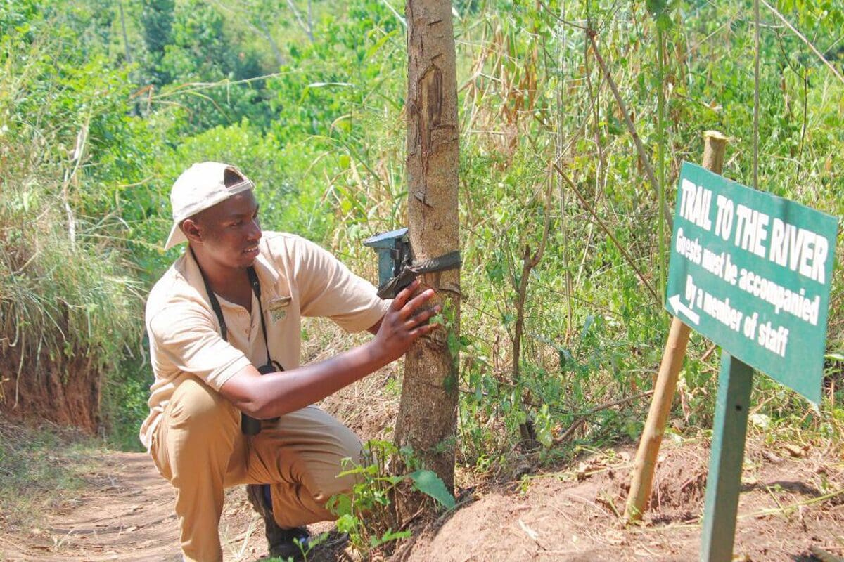 Kyambura Lion Monitoring Project Featured In Exposing The Big Game