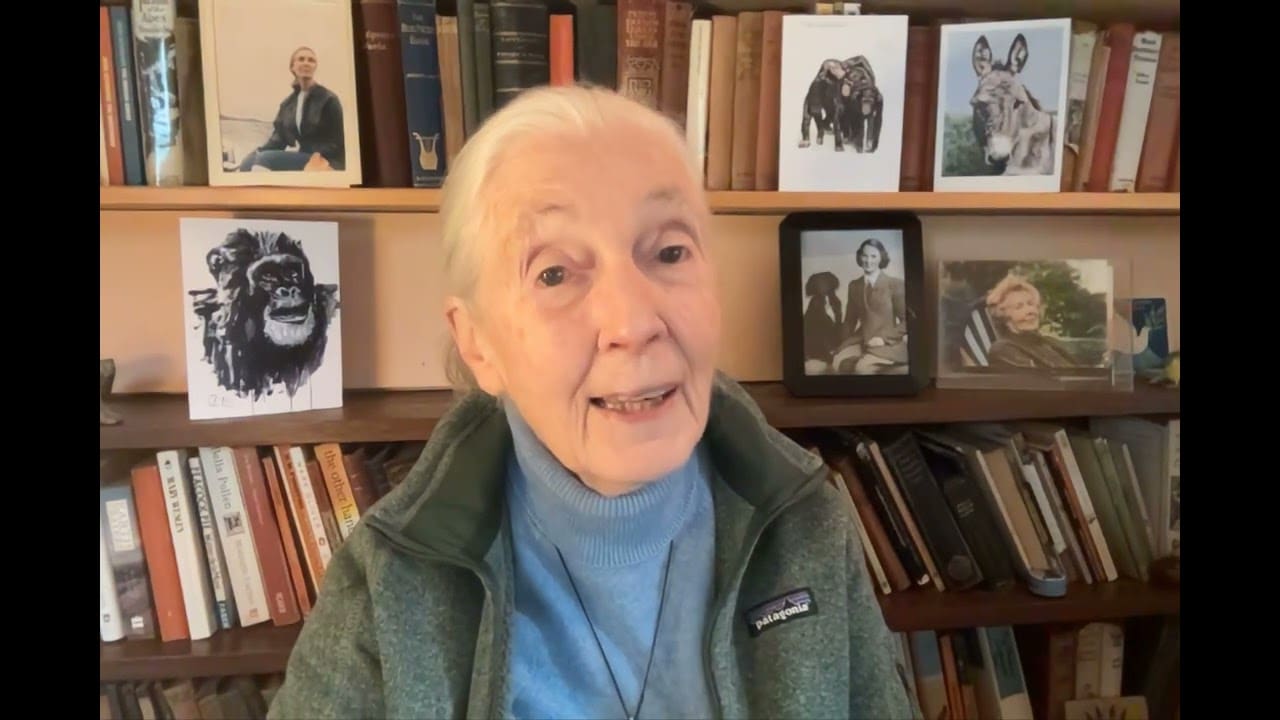 In Memoriam Dr. Jane Goodall 1934-2025