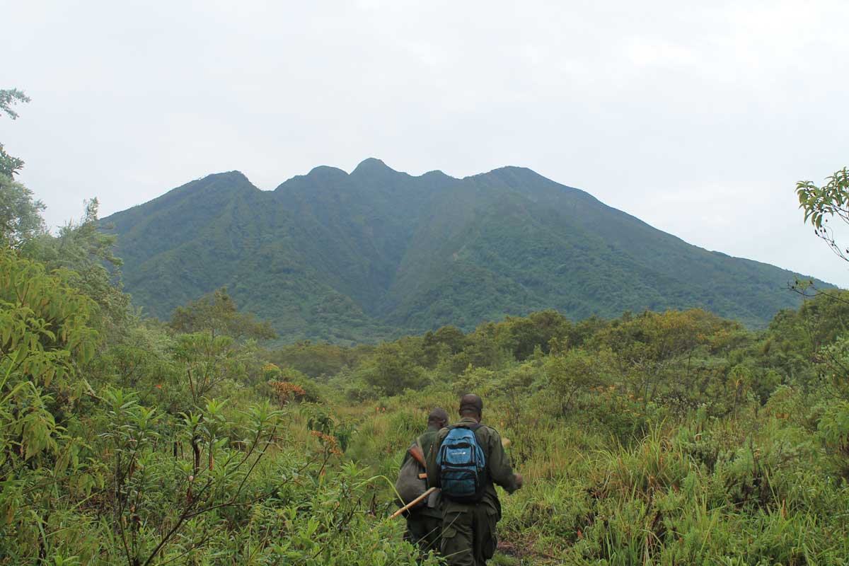 The Spectacular Summit of Sabyinyo
