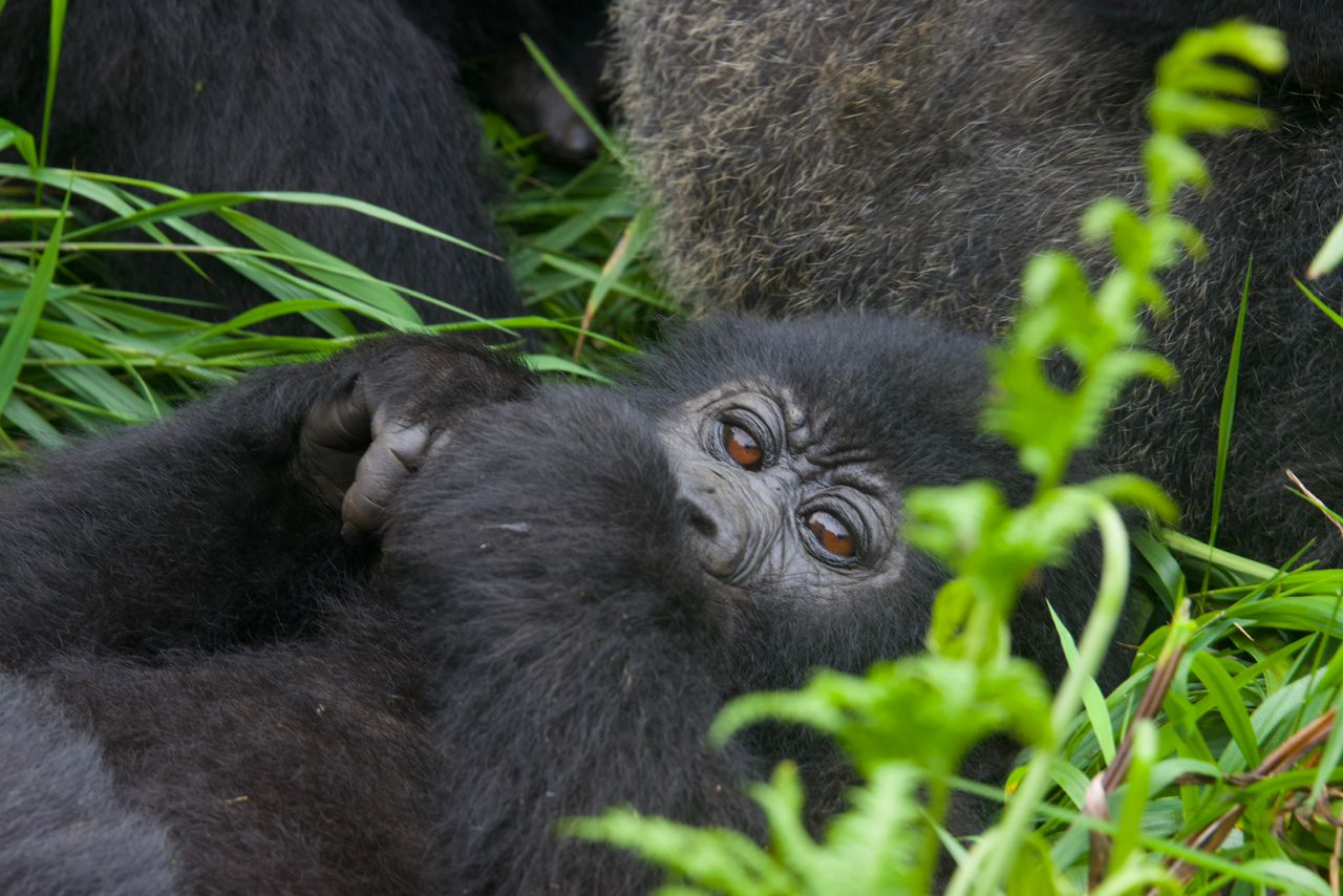 Happy Birthday Ndiza!