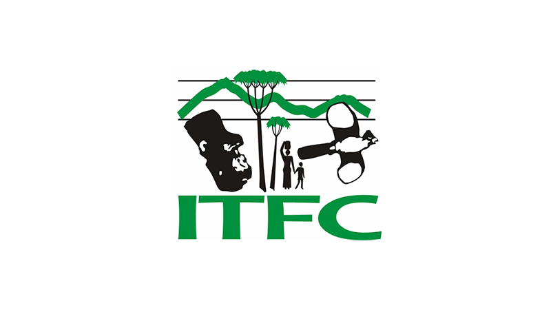 Institute of Tropical Forest Conservation 