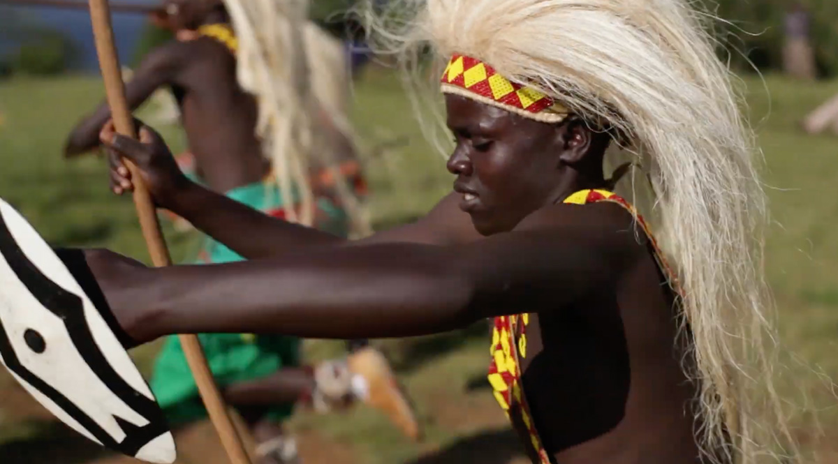 The Magical Virungas 