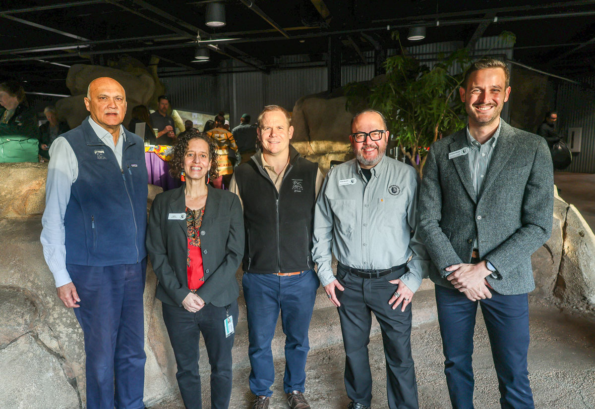 Volcanoes Safaris Partnership Trust (VSPT) and Denver Zoo Conservation Alliance (DZCA) Collaboration to Support the Kyambura Lion Monitoring Project 