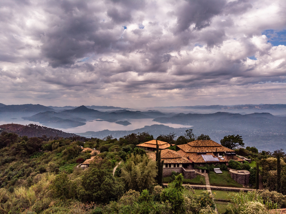 Volcanoes Safaris celebrates World Chimpanzee Day 2019