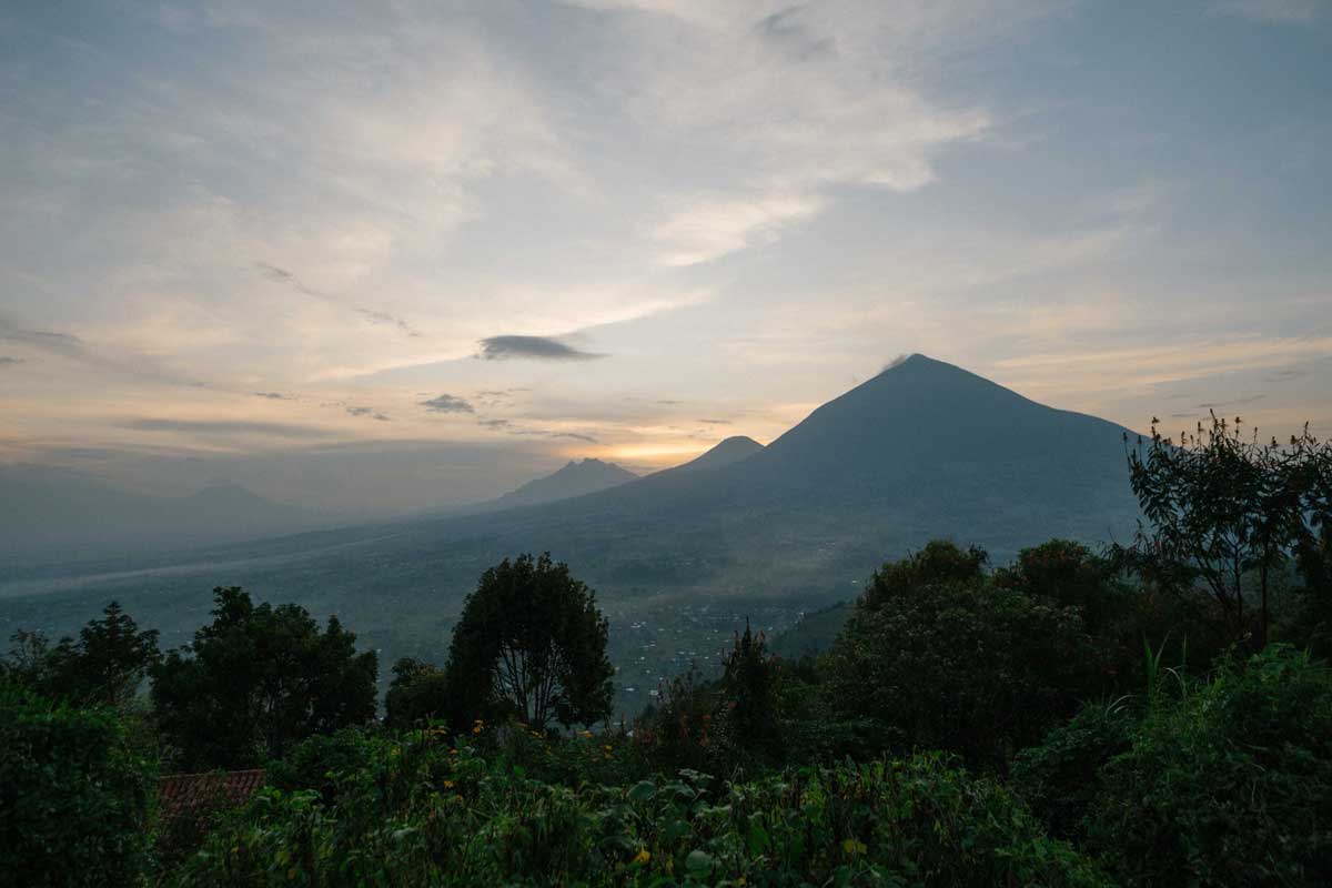Marking 100 years of mountain gorilla conservation: the creation of Virunga National Park DRC, 1925 and of Volcanoes National Park, Rwanda 1927