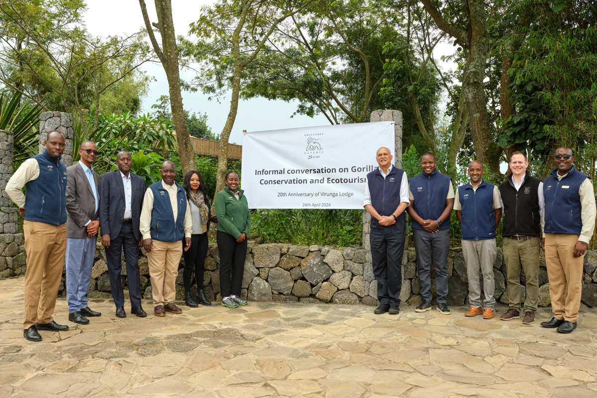 Four Baby Gorillas Born!