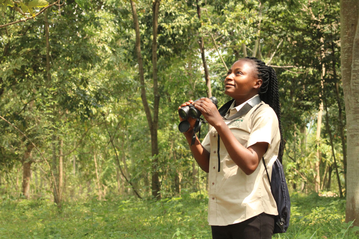 The Kyambura Wetland: A Sanctuary For New Species