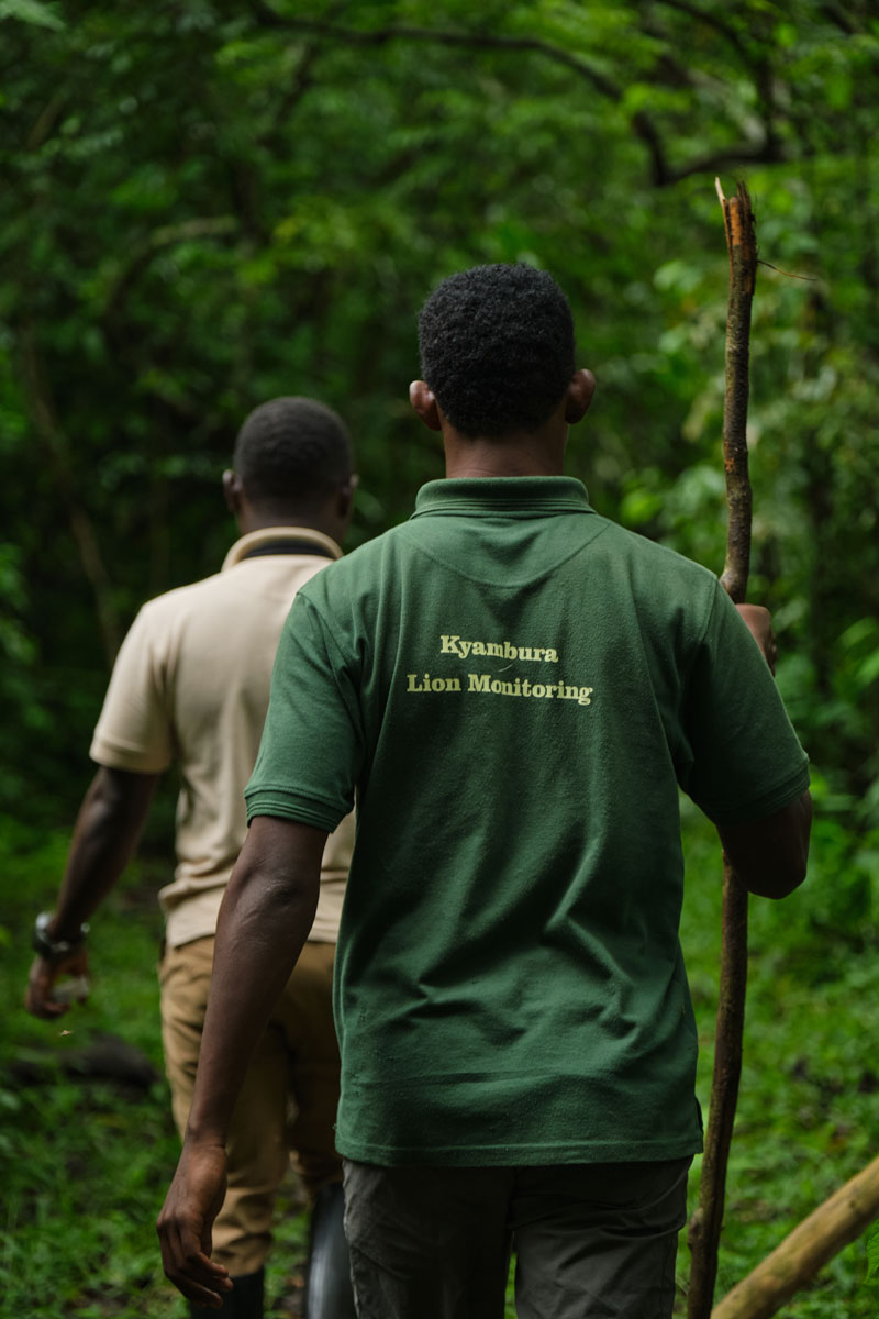 The Kyambura Fig Tree Nature Walk