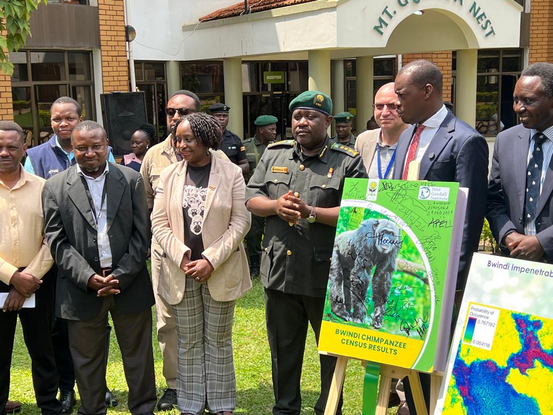 Launch of the 2025 Bwindi Impenetrable National Park Chimpanzee Census