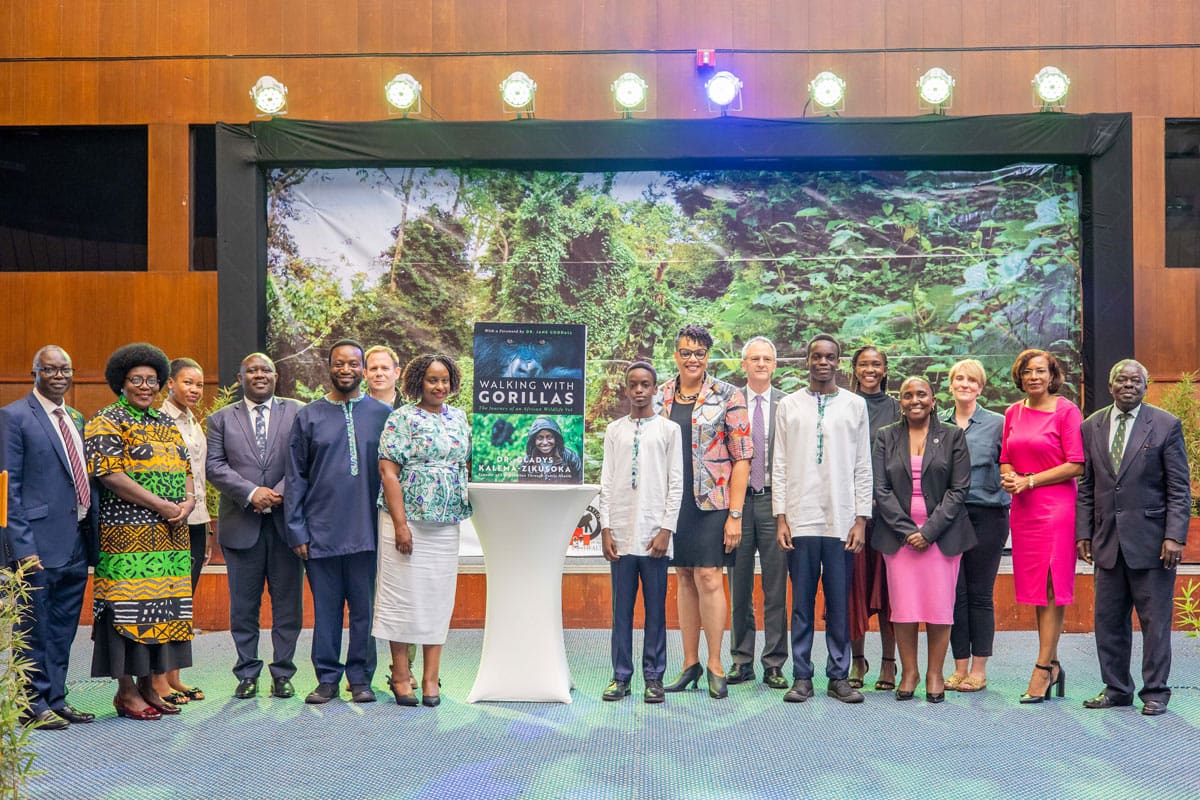 Walking with Gorillas