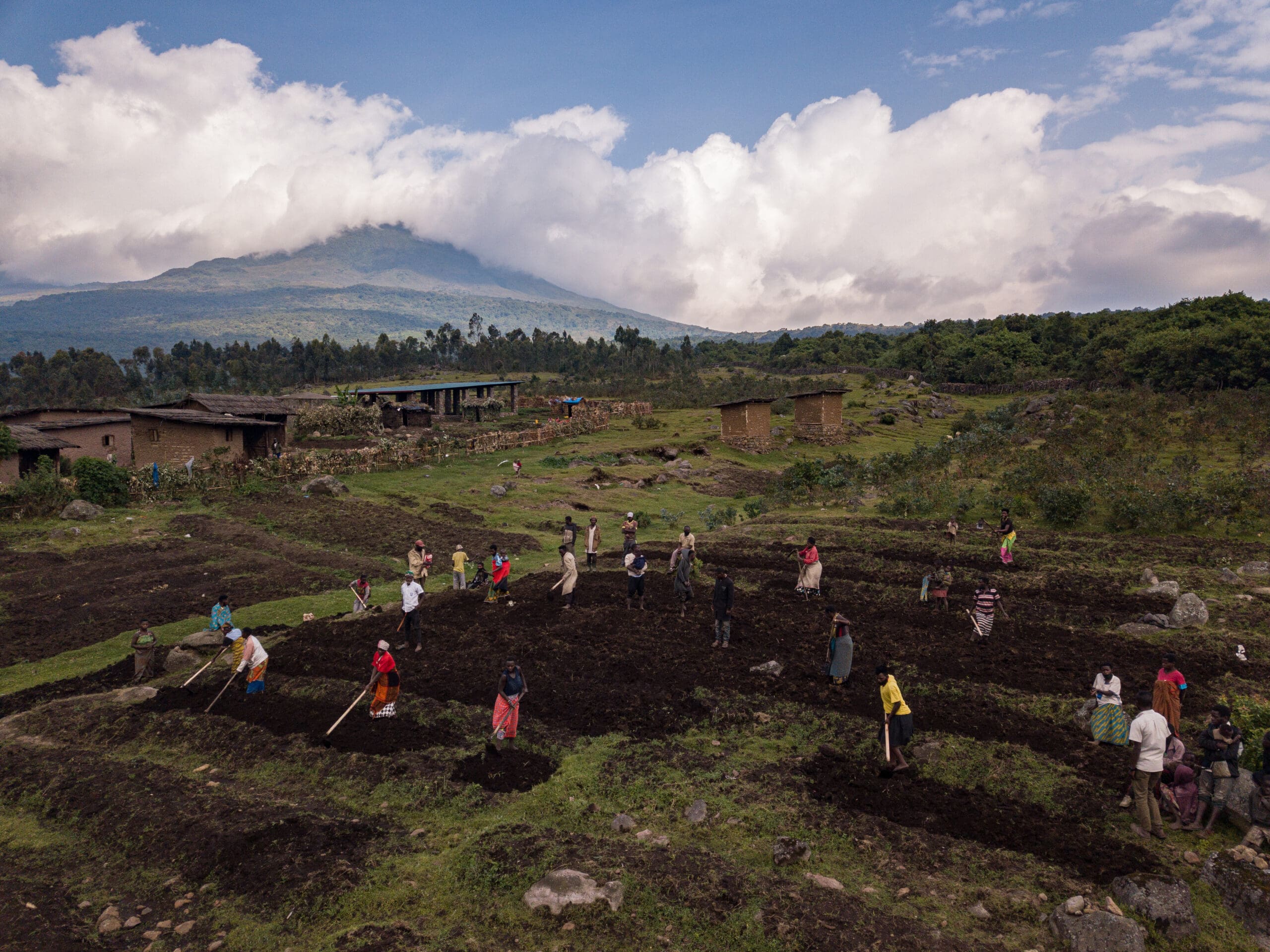Volcanoes Safaris and DEG COVID 19 Relief Project