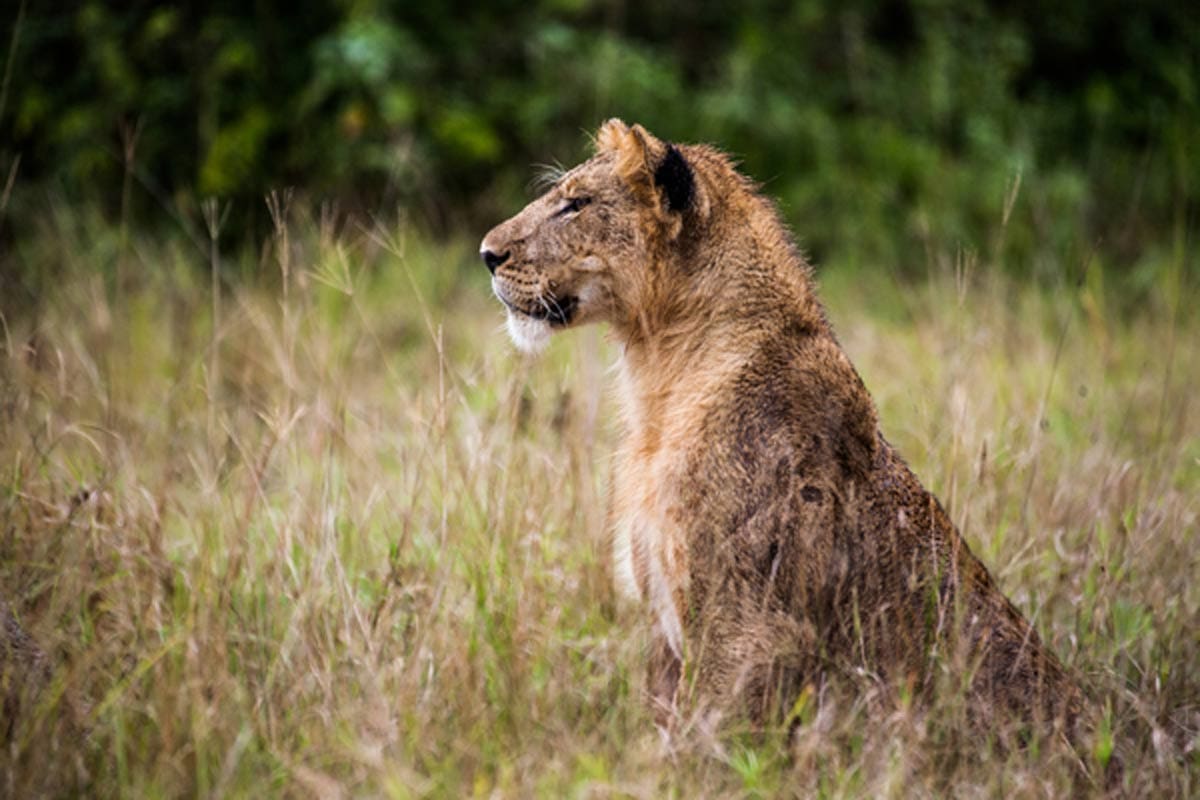 VSPT Announces Support of Critical Survey in the Queen Elizabeth Conservation Area