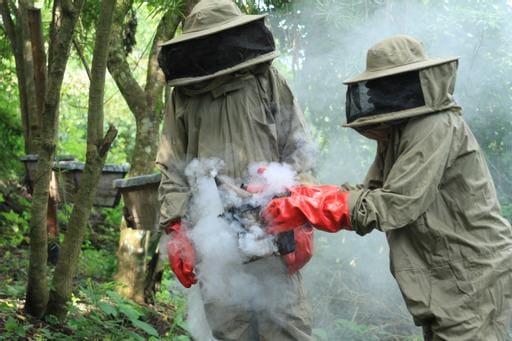 Bee Keepers Co-Operative