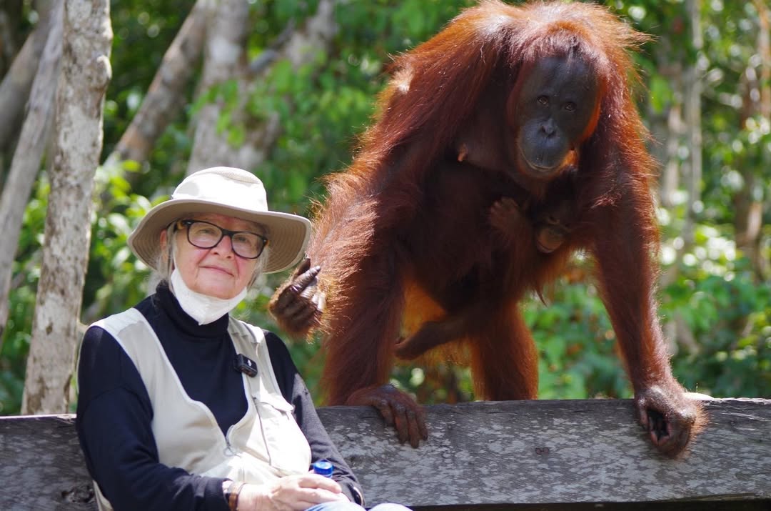 Volcanoes Safaris Honours the Legacy of Birute Galdikas
