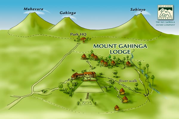 Volcanoes Safaris celebrates 25 years!