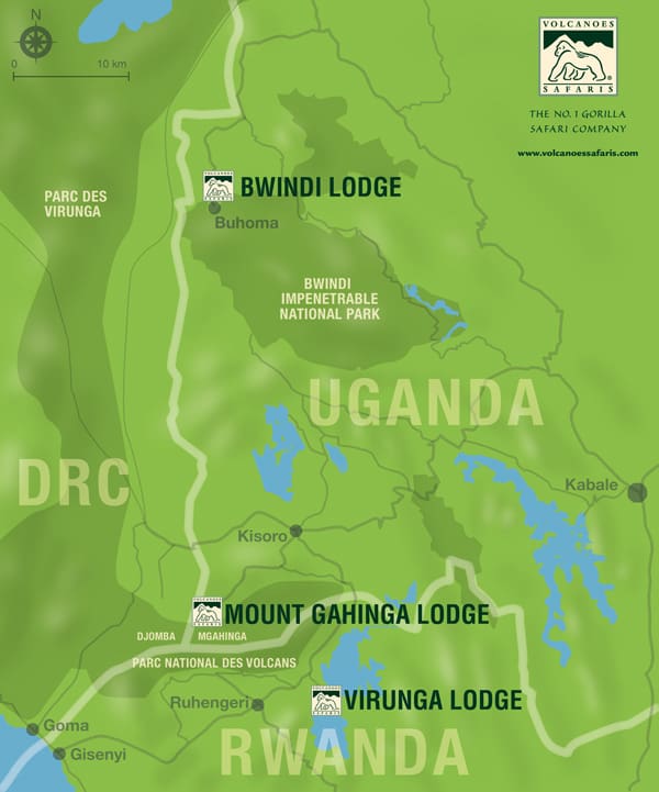 A panel discussion on ‘The Future of Gorillas and Chimpanzees in the Albertine Rift’