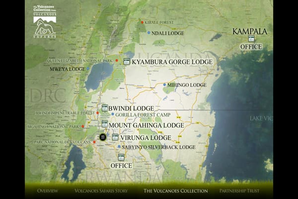 Nyakagezi Gorilla Group