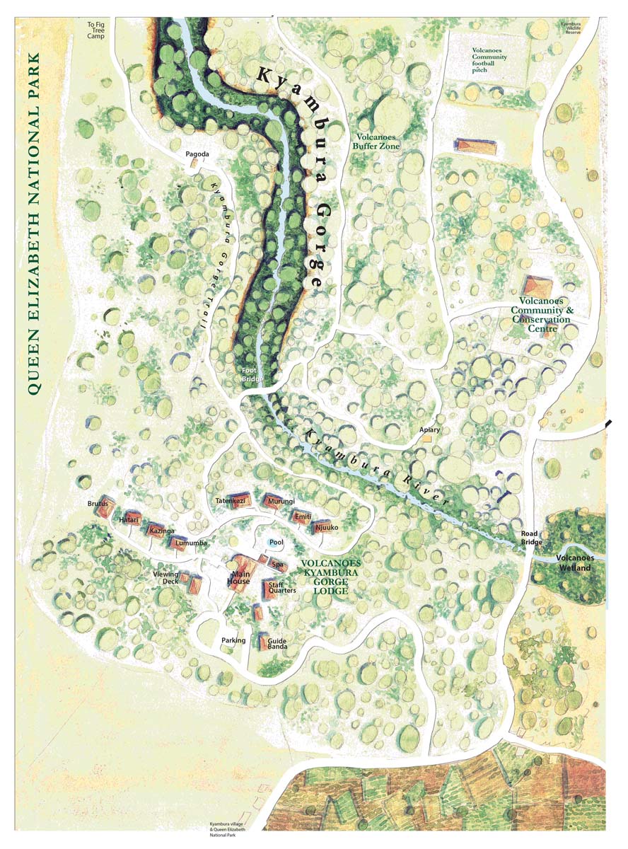 Book launch of Walking With Gorillas by Dr Gladys Kalema-Zikusoka