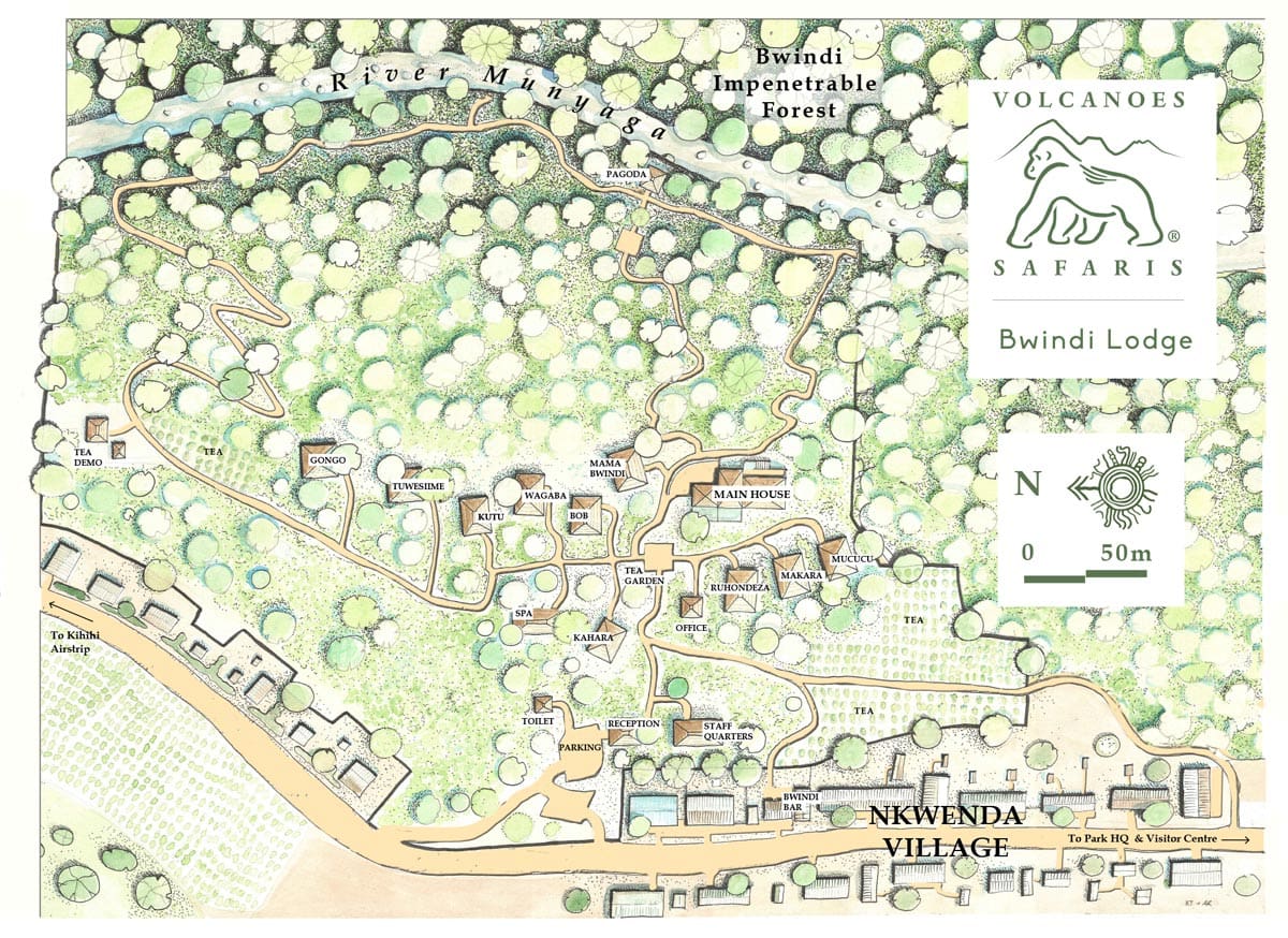 Volcanoes Safaris Partnership Trust partners with the world's first not-for-profit streaming platform Ecoflix