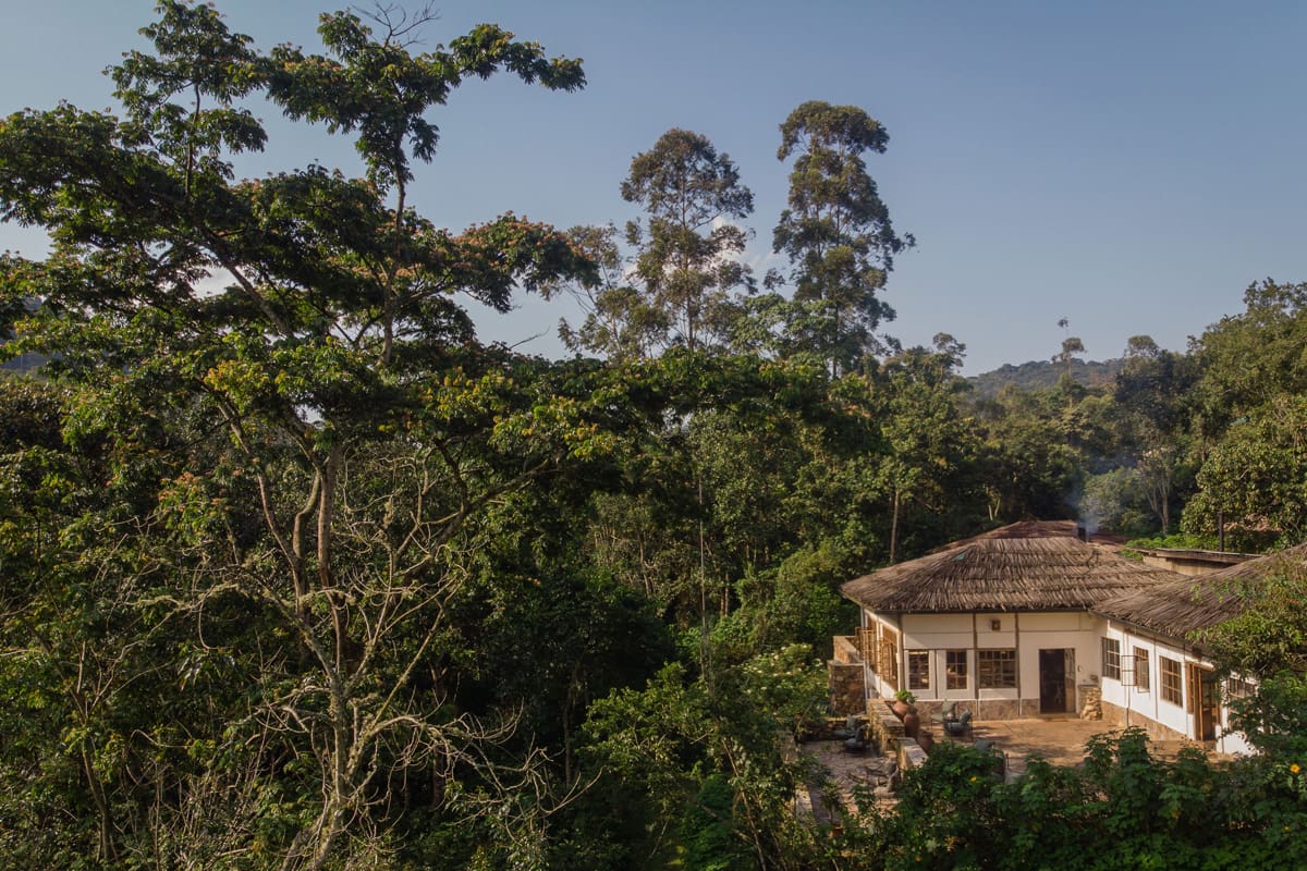 Volcanoes Safaris’ new Primates of the Great Rift Valley Safari