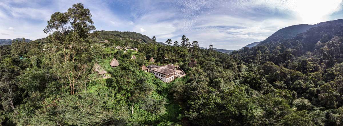 Volcanoes Safaris Partnership Trust receives chimpanzee conservation award