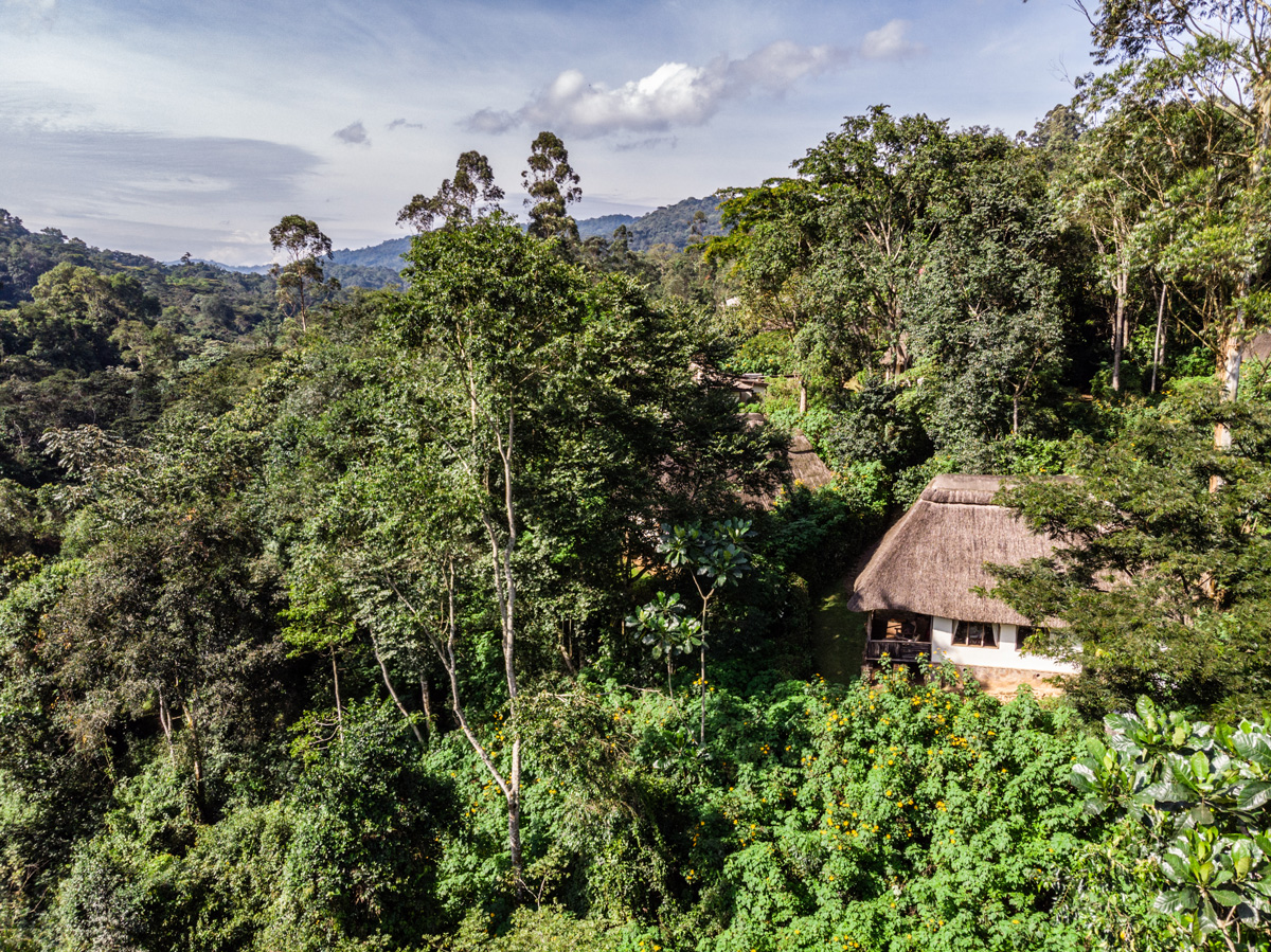 The Kyambura Wetland: A Sanctuary For New Species