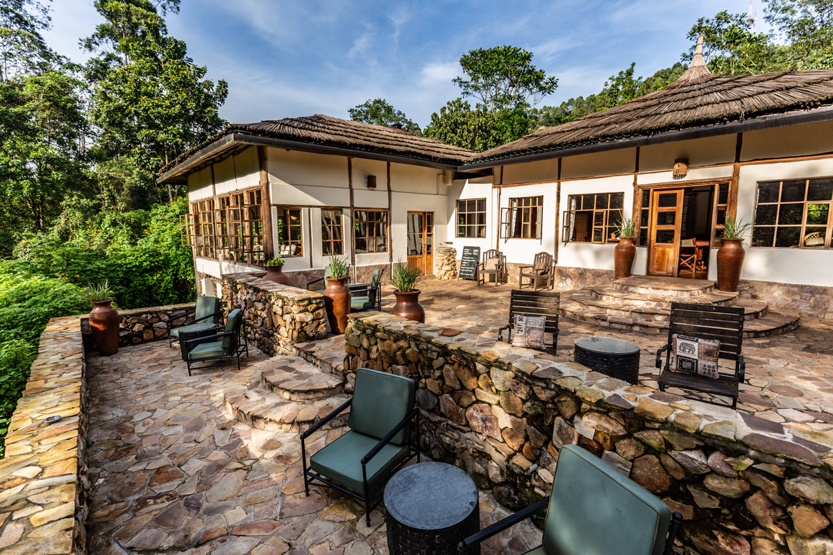 A Spotlight on Celine Ishimwe, Head Botanist Volcanoes Safaris