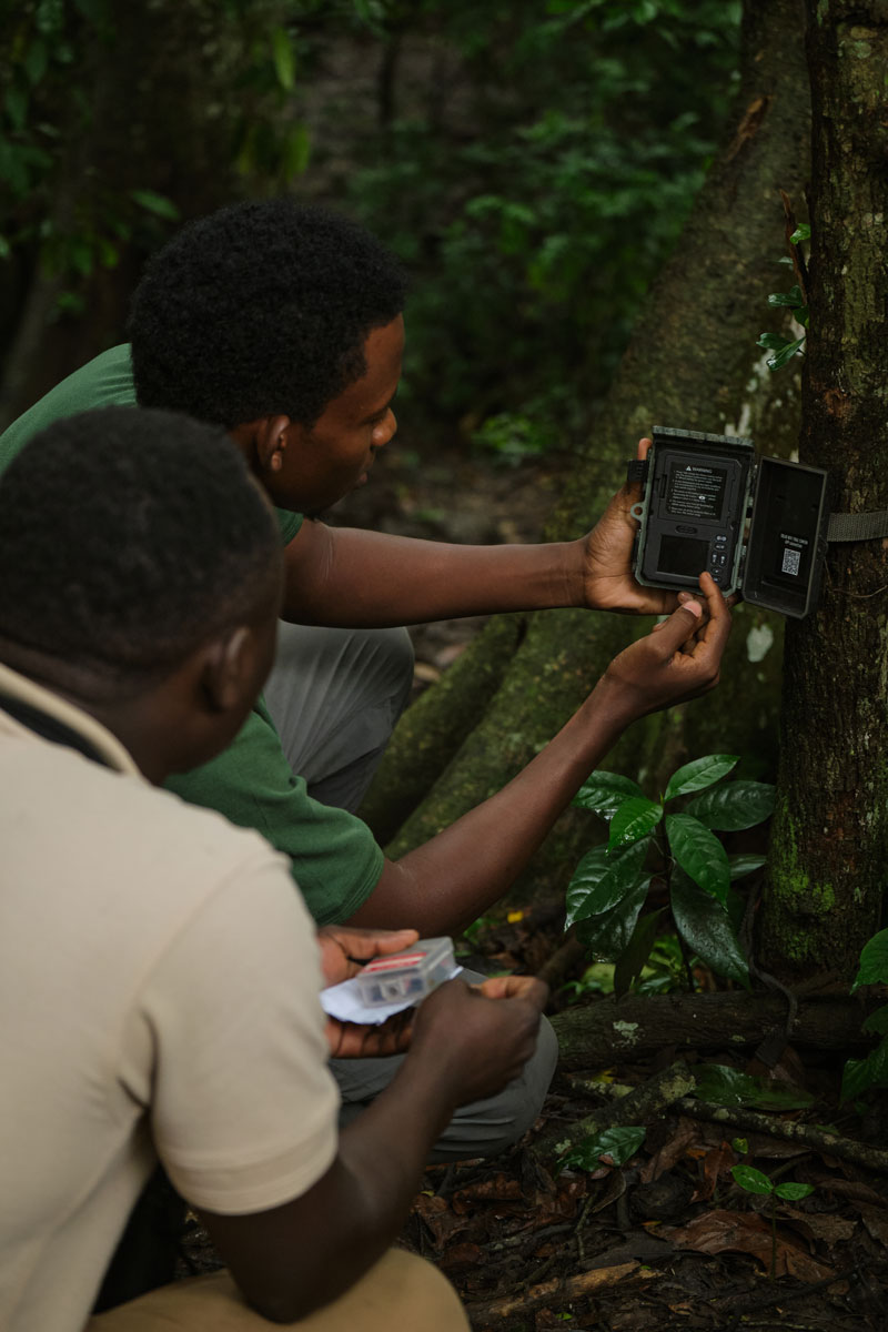 Kyambura Gorge Camera Traps