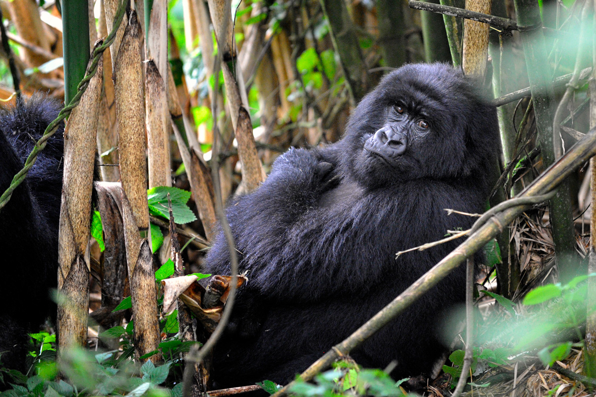 The Kyambura Discovery Centre