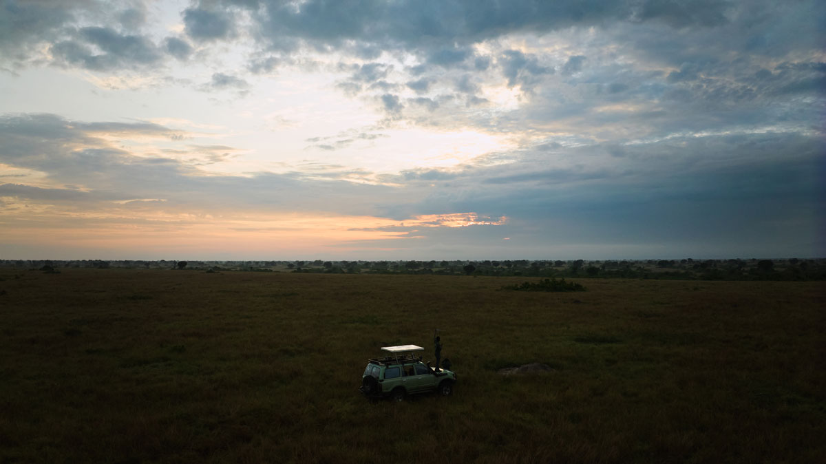 Guided Photography and game drives with Dr Alexander Braczkowski