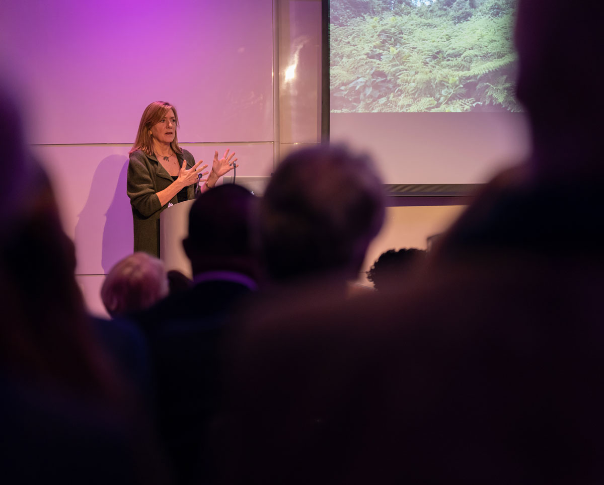 Volcanoes Safaris featured in The Telegraph