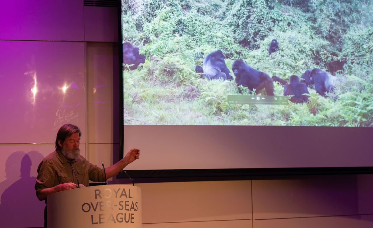 Volcanoes Safaris in Just Luxe