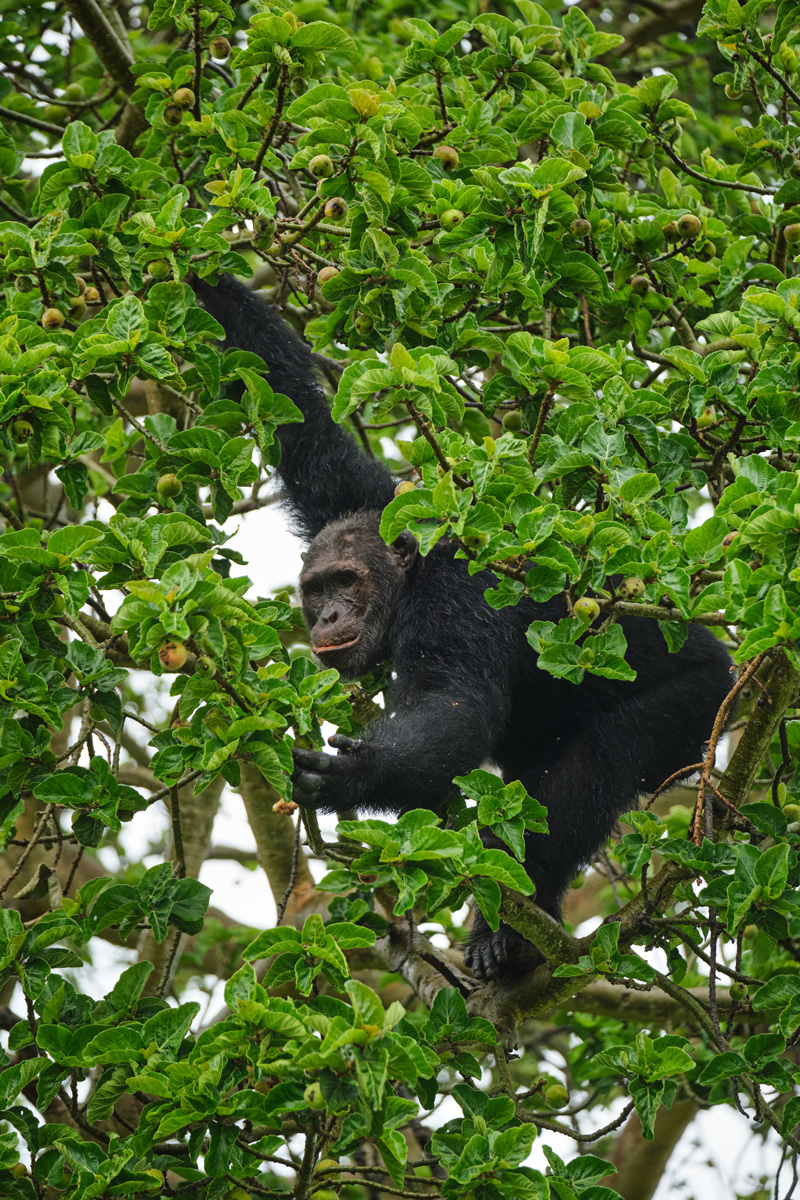 10 Instagram-Worthy Travel Destinations to visit before your friends