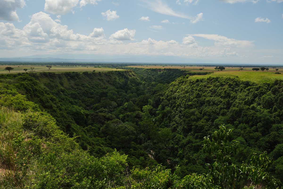 Top Five Items for a Comfortable Trip