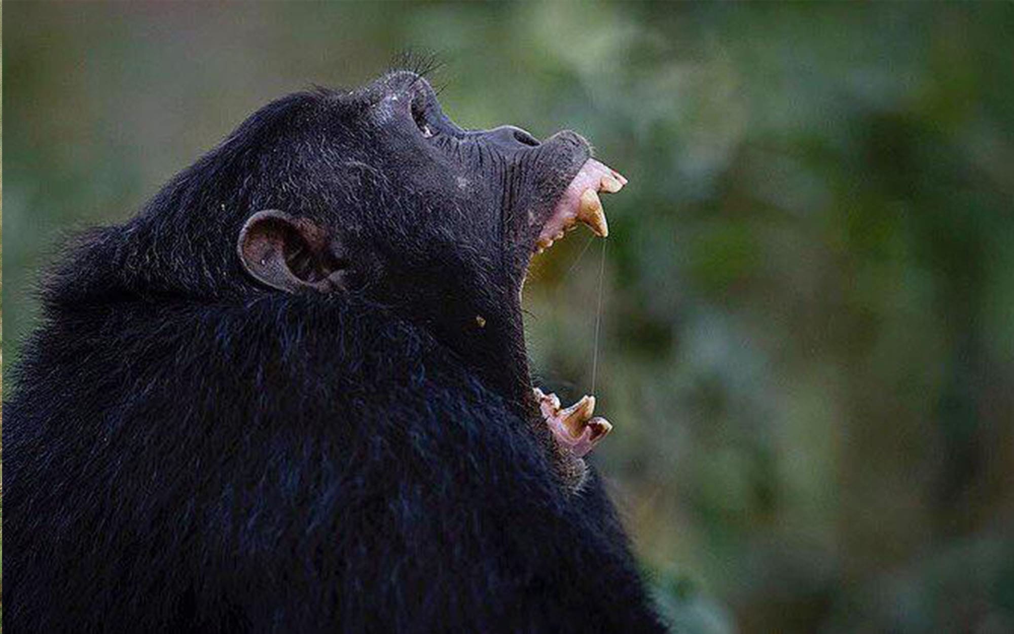 Meet the Man Who Changed Vacationing in Rwanda Forever