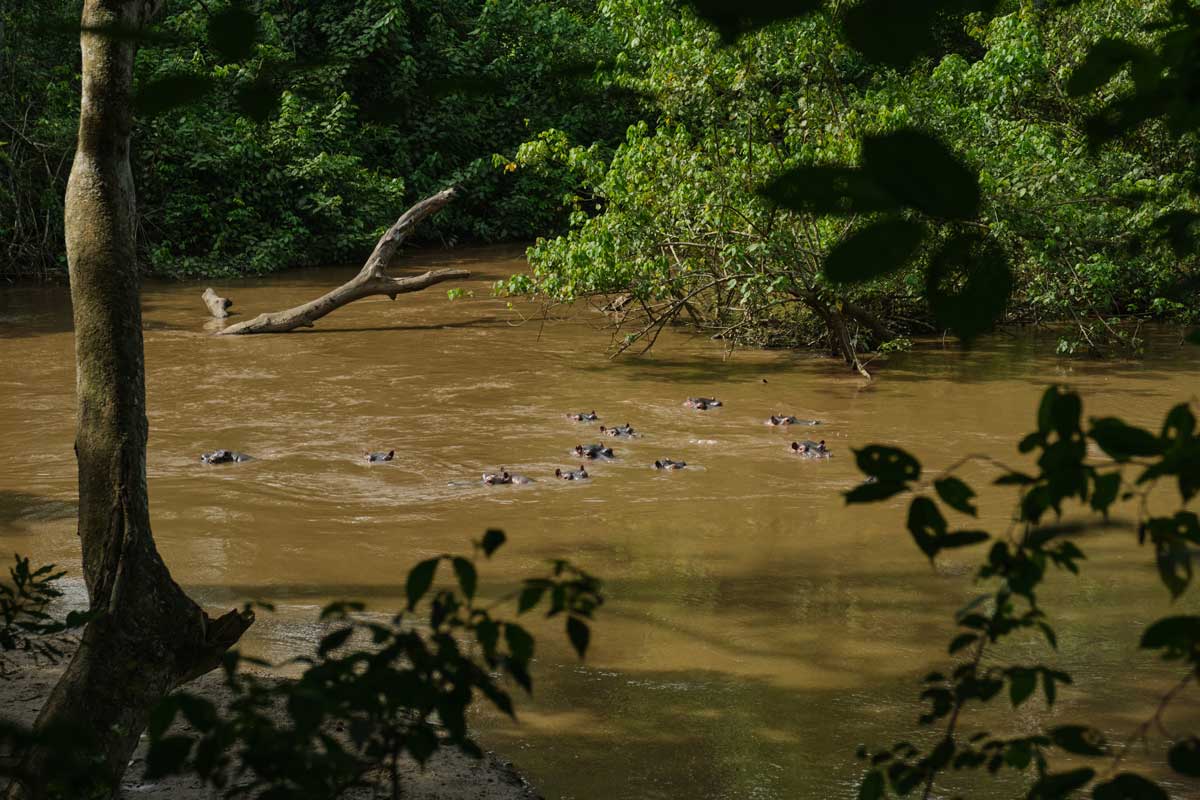 Akagera's Top Experiences